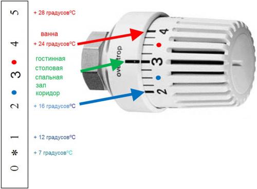 Виды терморегуляторов и их функции